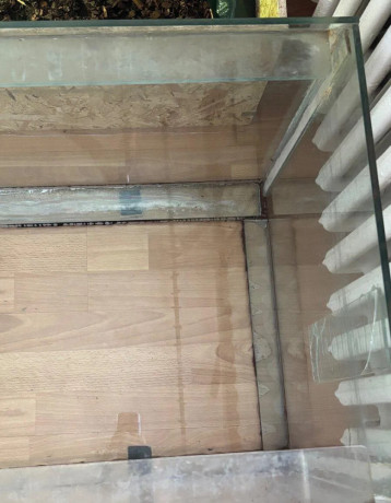 terarium-akvarium-big-4