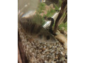 predam-ostrieza-small-1