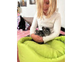 cincila-small-1