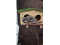 parik-vakovevericky-small-3