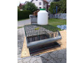 predam-mensiu-klietku-pre-prepelice-small-0