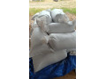 psenica-jacmen-small-1