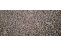 jacmen-psenicea-small-1