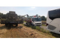 predam-psenicu-small-0