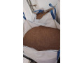 predam-psenicu-small-1