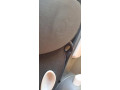 cybex-aton-b2-i-size-small-2