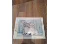 puzzle-high-quality-collection-clementoni-500ks-small-0