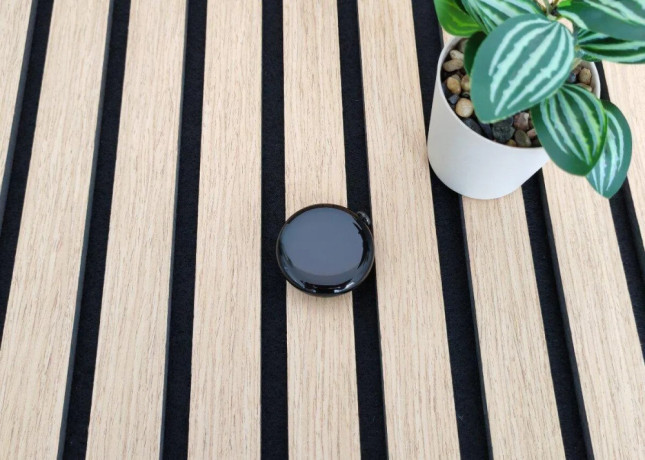 google-pixel-watch-2-zaruka-big-0