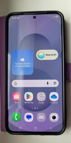 samsung-galaxy-s25-256gb-big-0
