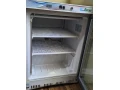 predam-profi-mraznicku-forcar-small-1