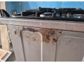 kombinovany-sporak-beko-fbm62330gxtn-nerez-small-3