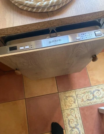 guzzanti-big-2