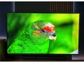 lg-65sk8100pla-65-uhd-4k-tv-small-2