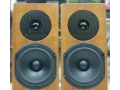 repro-audio-physic-yara-ii-compact-par-small-1