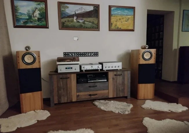 fostex-208-e-sigma-s-fostex-super-tweeterom-v-top-prevedeni-big-2