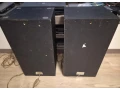 repro-bedne-small-1