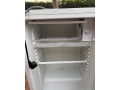 predam-malu-chladnicku-guzzanti-small-2