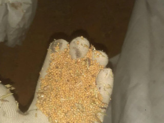 horcica-na-predaj