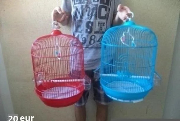 klietka-big-0