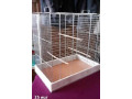 klietku-pre-rozne-vtaky-small-2