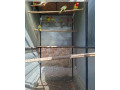 predam-rozelu-pestru-small-4