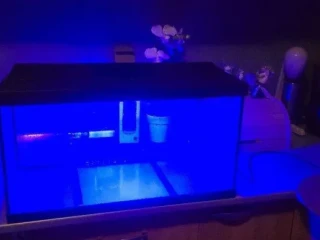 akvarium