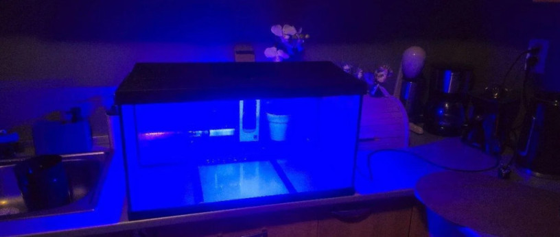 akvarium-big-0