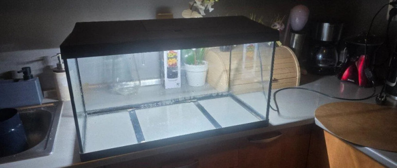 akvarium-big-1