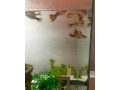 darujeme-gupky-small-4