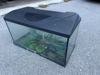akvarium-80x35
