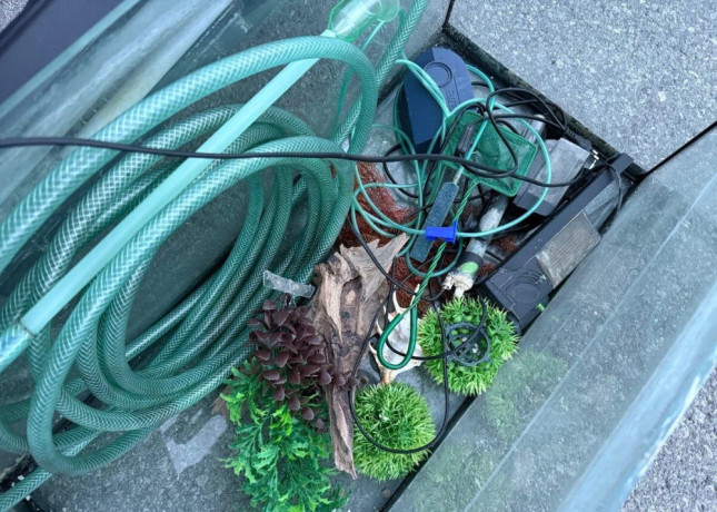 akvarium-80x35-big-4