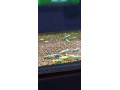 blue-bolt-caridina-krevetka-small-1