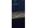 blue-bolt-caridina-krevetka-small-3