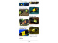 tropheus-small-1
