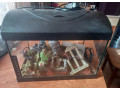 predam-akvarium-small-0