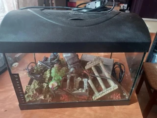 predam-akvarium