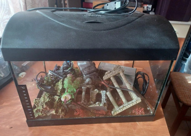 predam-akvarium-big-0