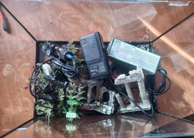 predam-akvarium-big-2