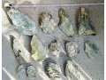 seyriu-stone-small-1