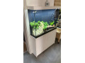 akvarium-small-2