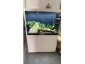 akvarium-small-0