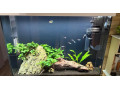 akvarium-small-1