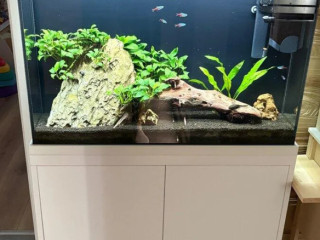 akvarium