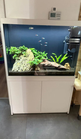 akvarium-big-0