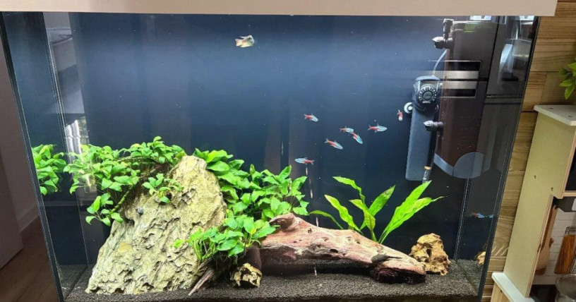 akvarium-big-1