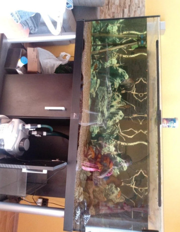 akvarium-komplet-450l-big-0