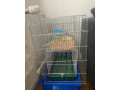 klietky-a-potreby-pre-hlodavce-small-1