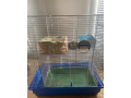 klietky-a-potreby-pre-hlodavce-small-0