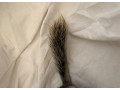 cincily-small-2