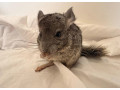 cincily-small-1